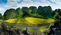 821 - TAMCOC RICE FIELD 02 - NGUYEN NGOC THACH - viet nam